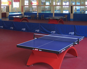 乒乓球場(chǎng)所